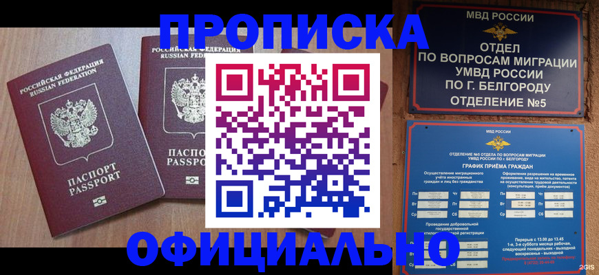 найти адрес прописки в Мариинском Посаде